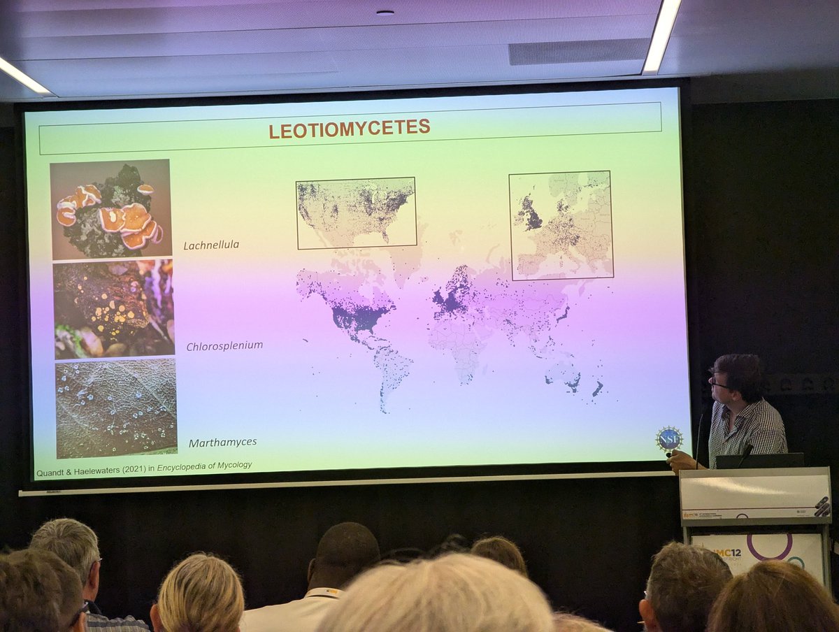 tunefulrover's tweet photo. Danny Haelewaters flying the flag for parasitic microfungi, incredibly understudied, with a focus on Laboulbeniomycetes and Leotiomycetes found in Africa. Great #TeamLaboul propaganda! #IMC12 https://t.co/B9w6PvqJPR