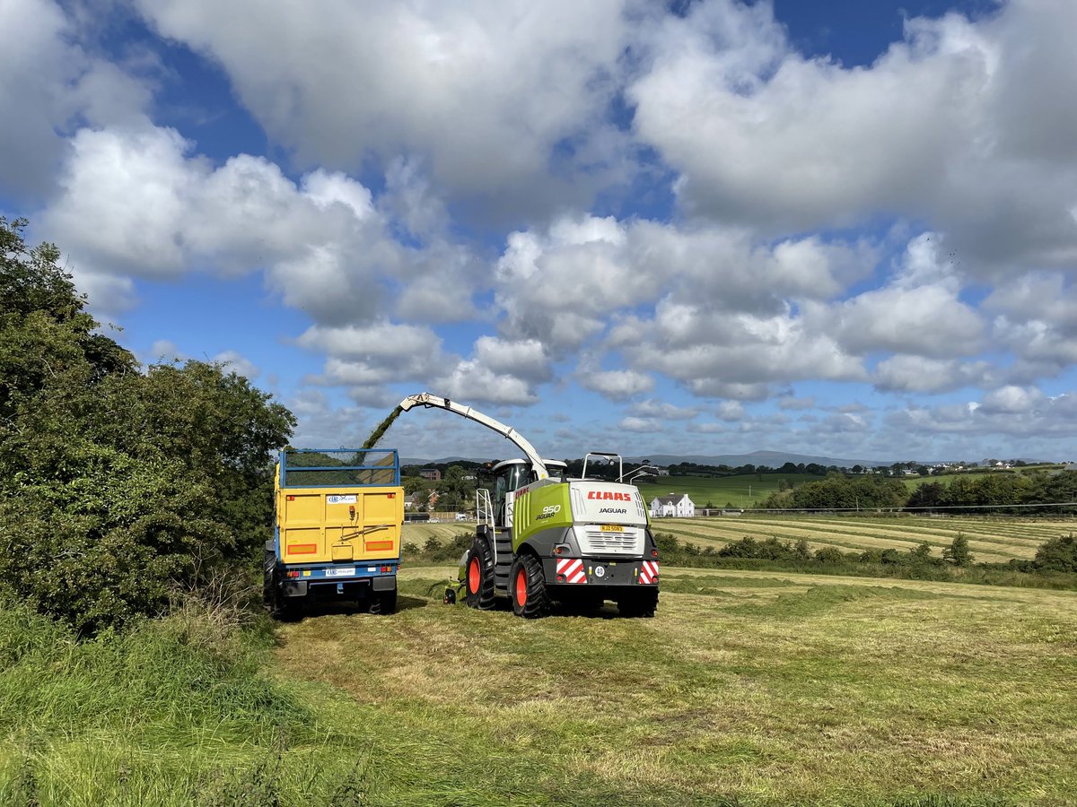 ProfMPatterson's tweet image. Getting the grass in before the rain comes tomorrow ⁦@bbcniweather⁩