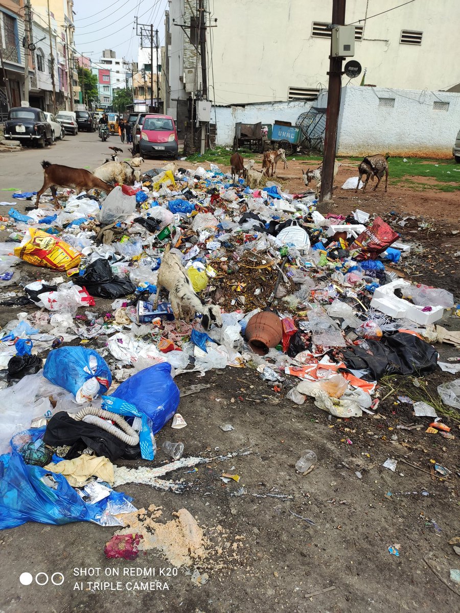MirhasanaliRaz2's tweet photo. @TheSiasatDaily I sent you complaint I talked to incharge they said me they clearly early morning and the garbage laying out is second round   i have taken my complaint back https://t.co/lhHya0YP32