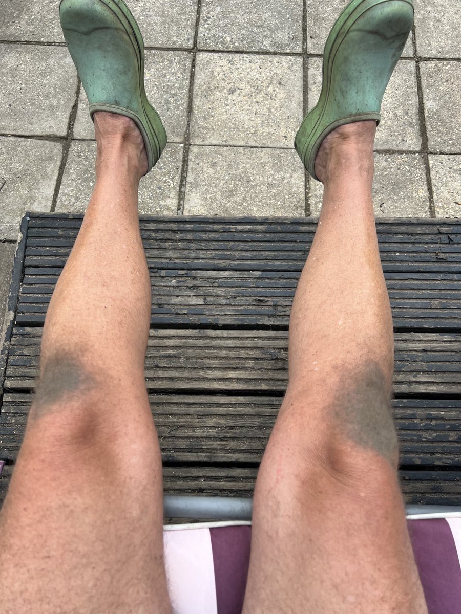 Pumpkin knees #giantpumpkin work