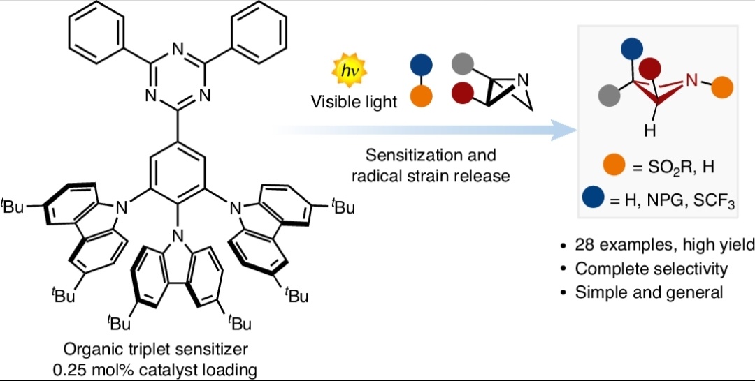 Dell'Amico Group (@dellamico_group) on Twitter photo We're celebrating 🎉🎉 !! Our most recent work related to radical strain release photocatalysis for the synthesis of azetidines is now available <a href="/NatureCatalysis/">Nature Catalysis</a> in open access!!! 🔓🔓
A humongous job by all the team!
🐸nature.com/articles/s4192…🐸 We're celebrating 🎉🎉 !! Our most recent work related to radical strain release photocatalysis for the synthesis of azetidines is now available <a href="/NatureCatalysis/">Nature Catalysis</a> in open access!!! 🔓🔓
A humongous job by all the team!
🐸nature.com/articles/s4192…🐸