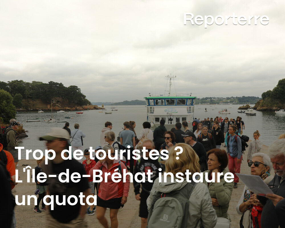 Que faire contre le surtourisme, qui dérange faune, flore et habitants locaux ?

Sur la jolie Île-de-Bréhat, dans les Côtes-d'Armor, un quota a été instauré.

Une mesure surtout symbolique.
Lire l'article ➡️ l.reporterre.net/U9