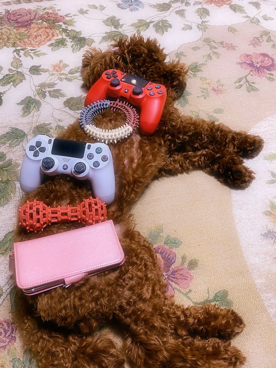 らぁなの。 tweet media