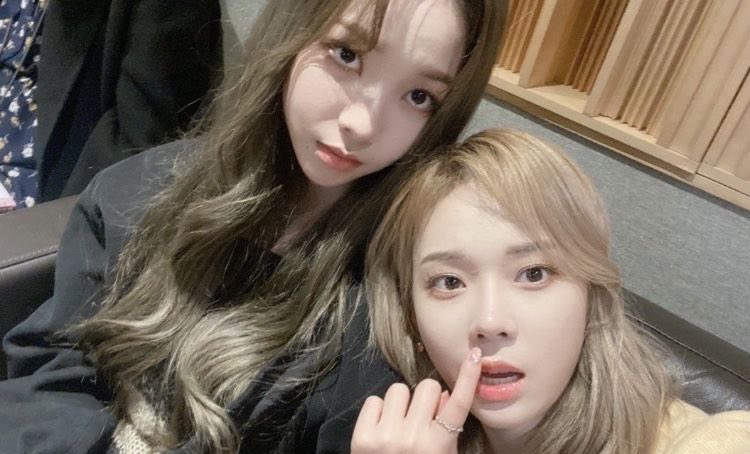 @wonspaws) / Posts / X