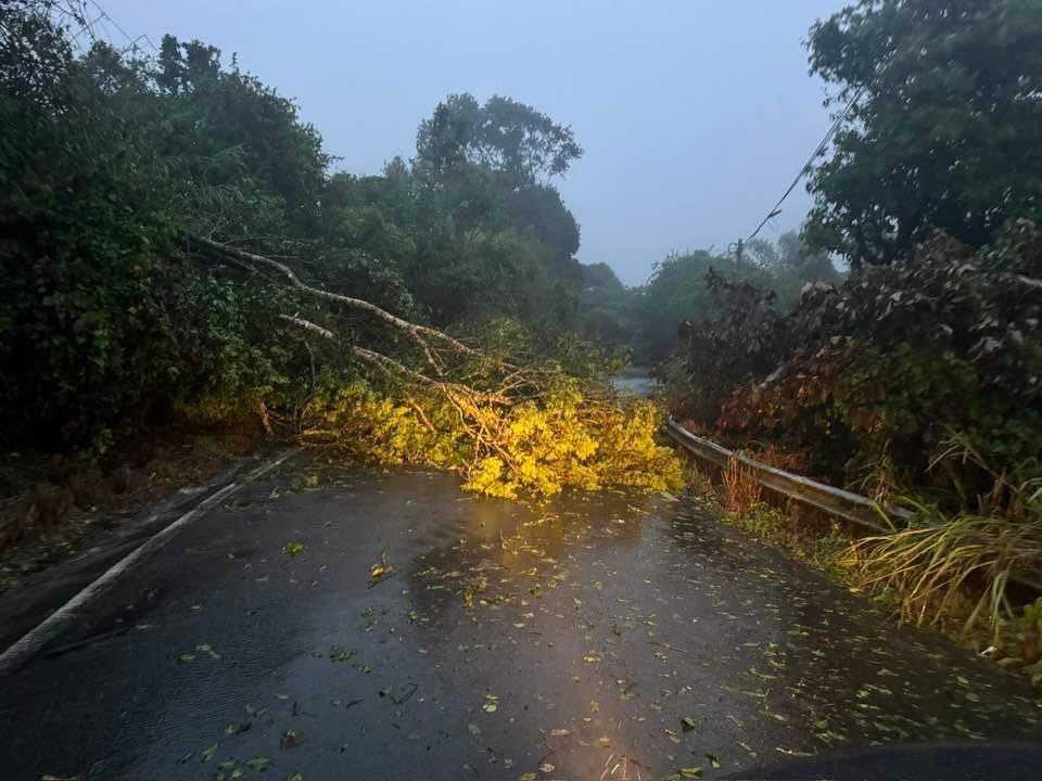Carretera 162 de Aibonito a Barranquitas, no hay paso debido a la caída de árboles sobre la vía. ¡Precaución!  #TormentaErnesto