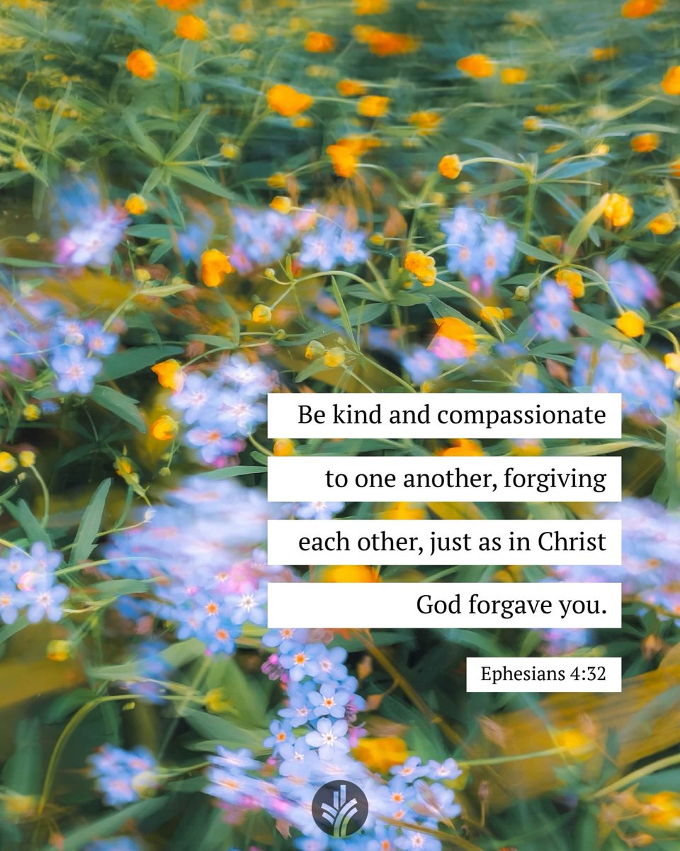 johnsonrn's tweet image. 