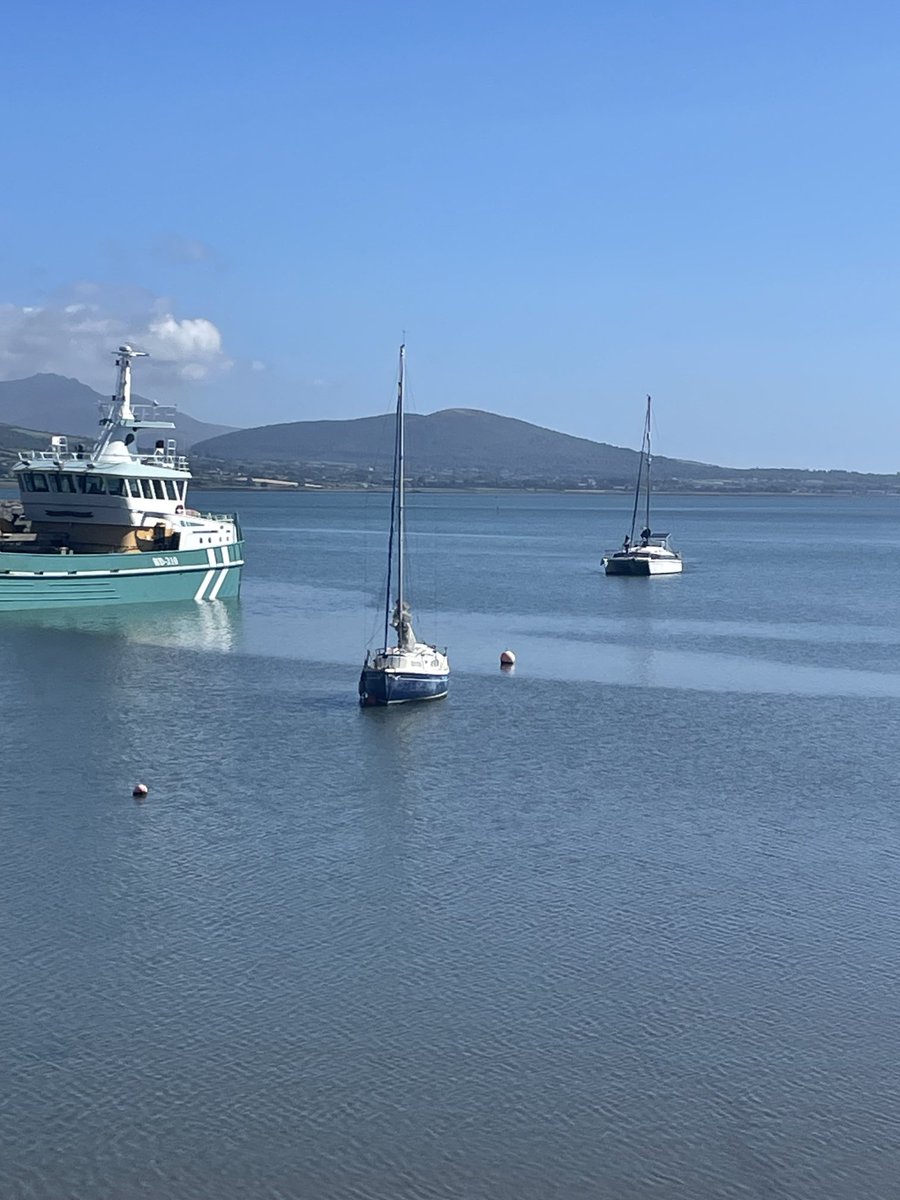Beautiful Carlingford #CarlingfordIRE#Barra best