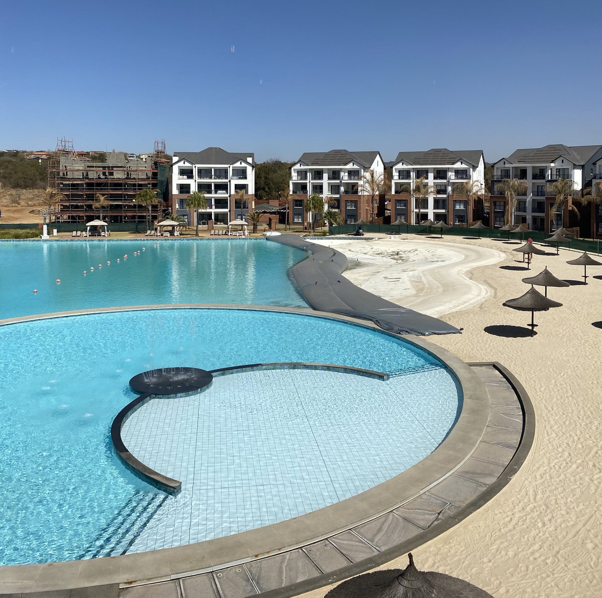 Rory Petzer tweet media