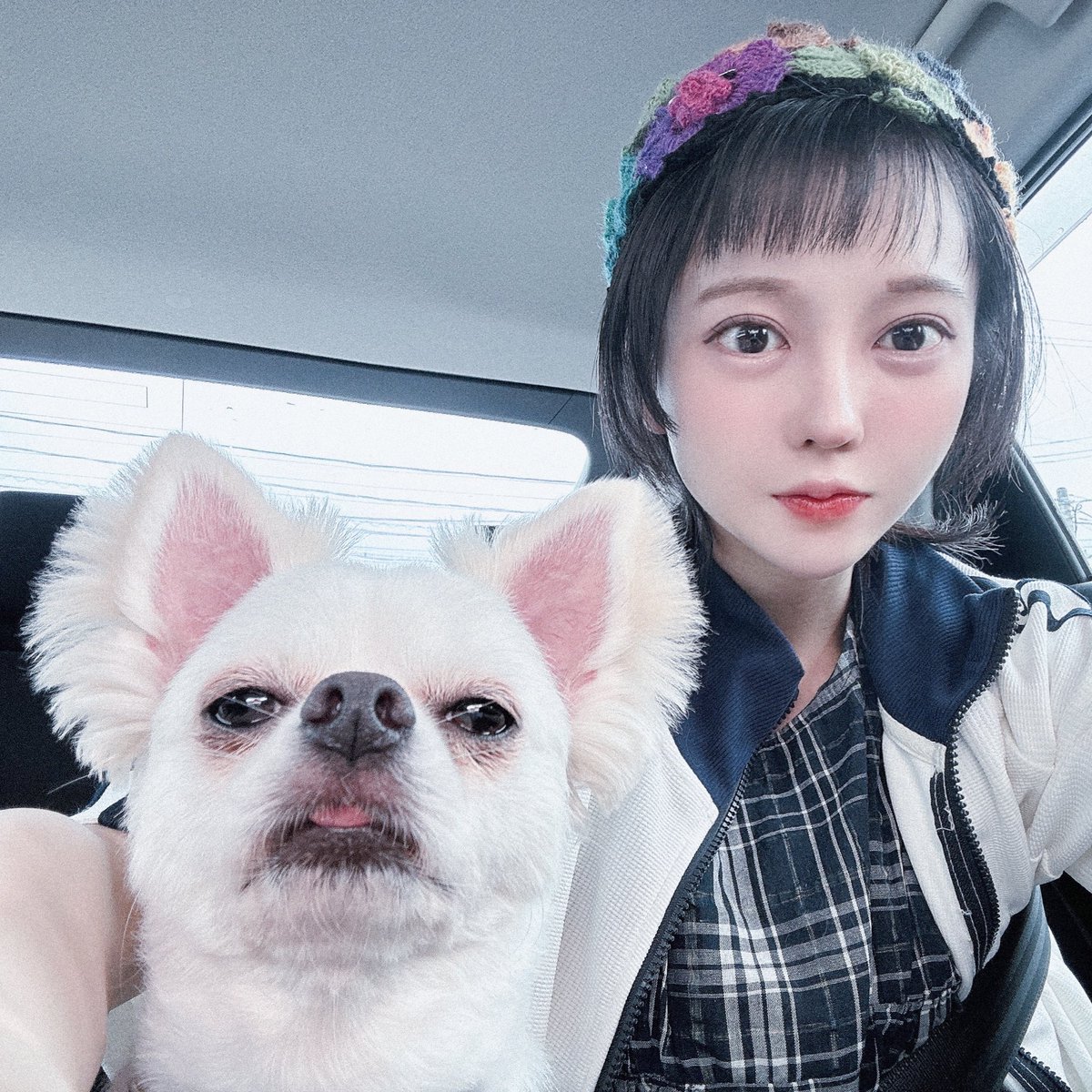suichofu's tweet photo. 悟り https://t.co/tJLyUiZRaD