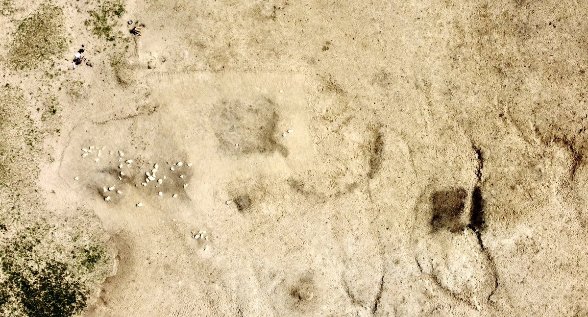 Christina M. Carolus tweet media