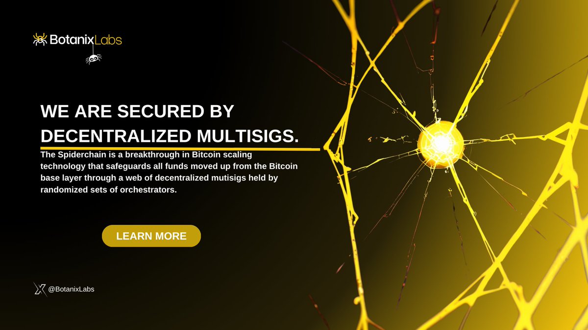 legendaPRMR's tweet photo. The main feature of @botanix is #spiderchain
Spiderchain is a breakthrough in #Bitcoin scaling technology that protects all funds moving from the Bitcoin base layer through a network of decentralized mutisig conducted by randomized sets of #orchestrators.
#BitcoinL2 https://t.co/JokhYfwYEw