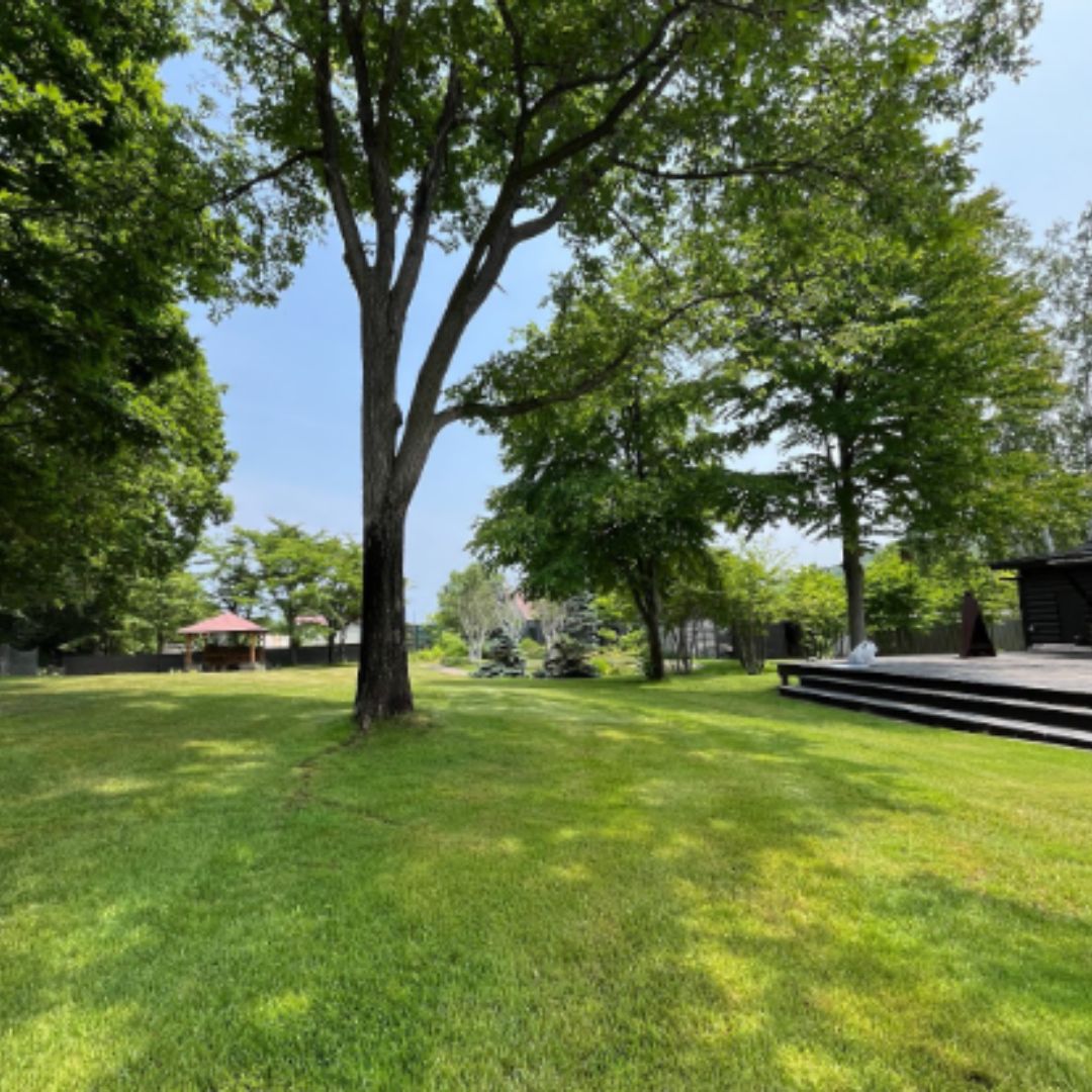 今回のブログでは、ビジョンミーティング＆ファミリーBBQについての様子をお届けしています！
ぜひご覧ください♪

▼詳細はこちら
massivesapporo.com/blog-hr/6230/