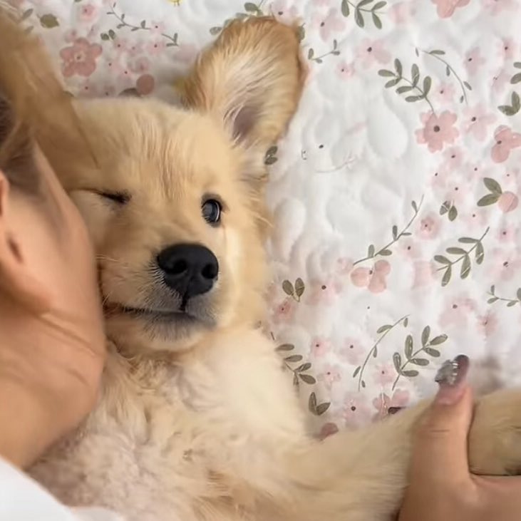 อ้ย ป่อยเค้านะ อย่าทัมอย่างงี้ (เอาอีก จุ้บอีก)