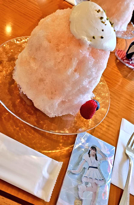 海鮮丼とでっかいかき氷だよ…りんちゃん 