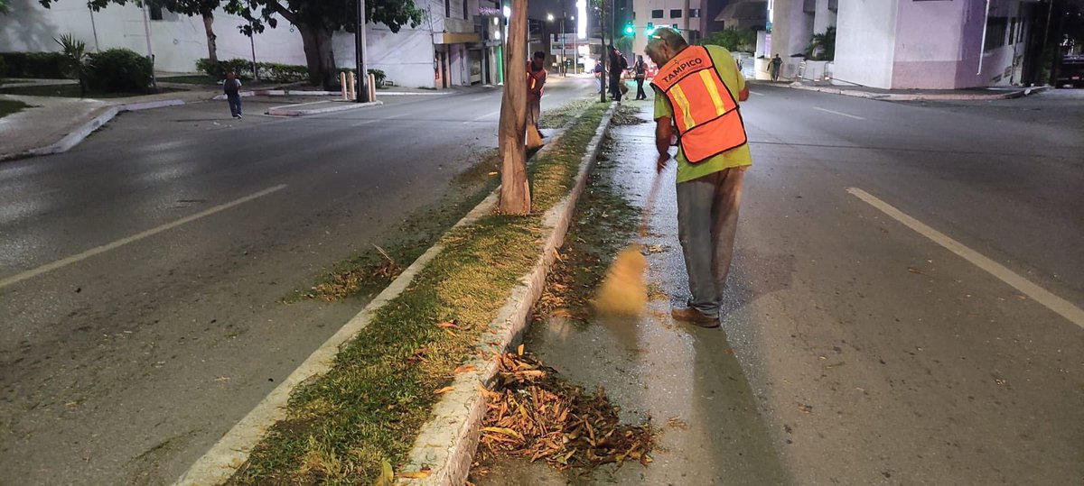 Secretaría de Servicios Públicos y Ecología tweet media
