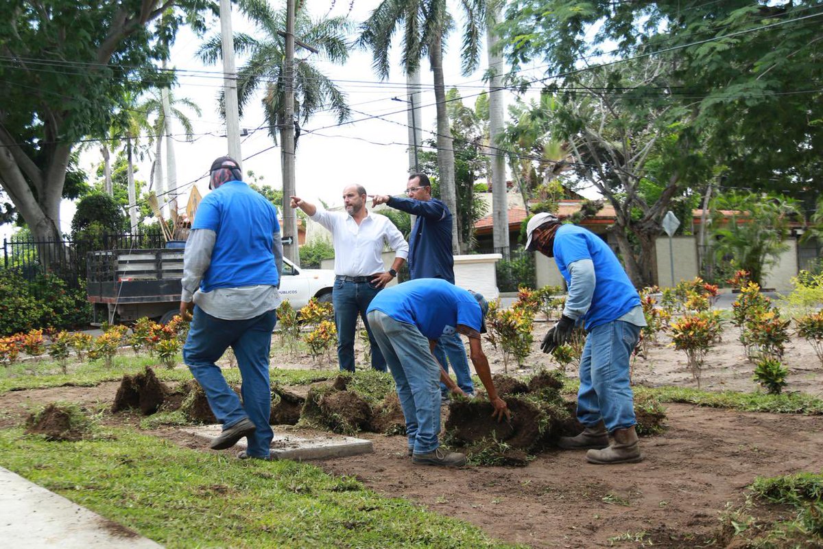 Secretaría de Servicios Públicos y Ecología tweet media
