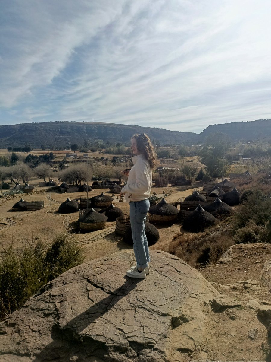 Harry MacDonald tweet media