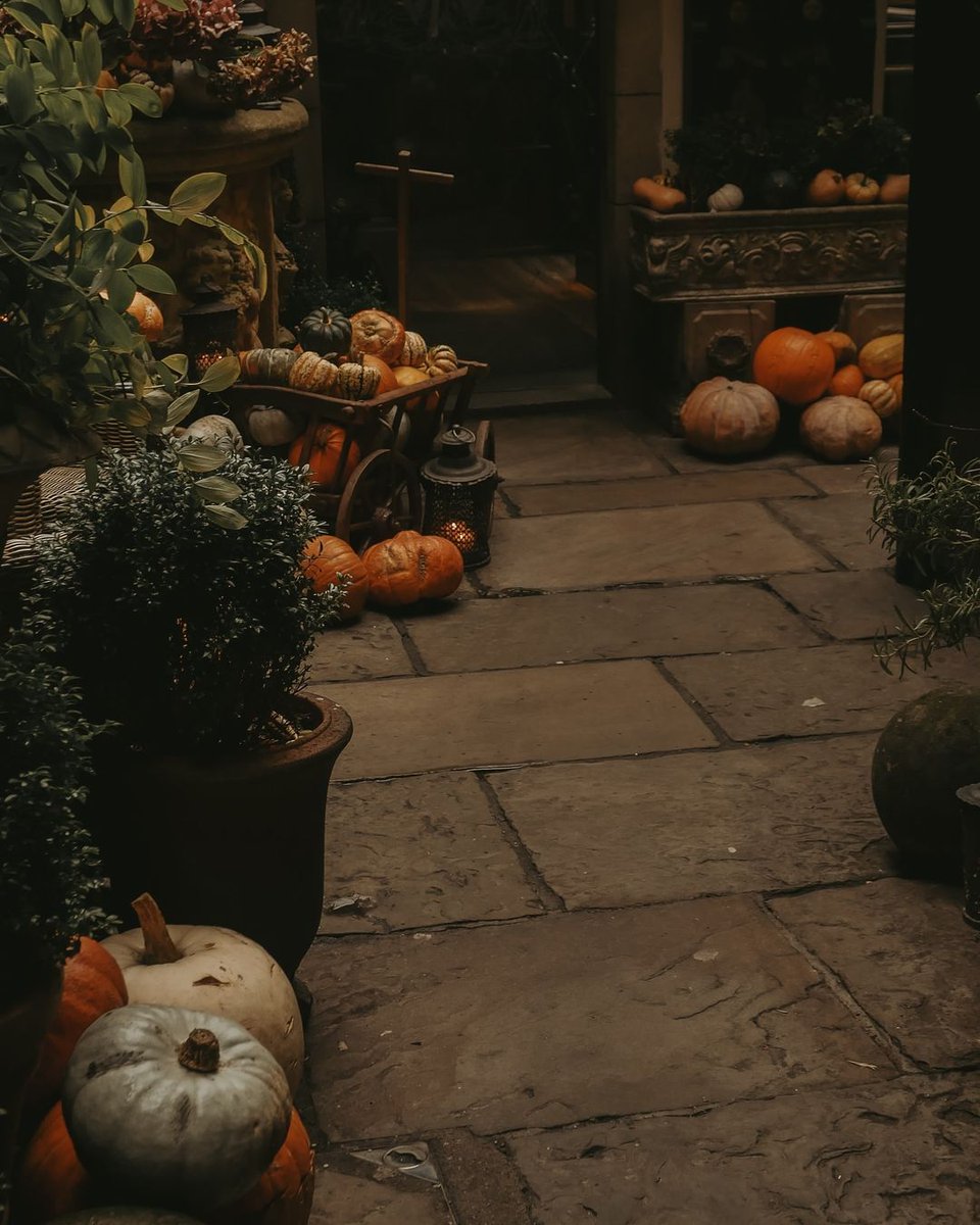 NostAcademia's tweet photo. Spooky season is coming 🤎 Autumn
By: chaptersofshau https://t.co/znCslfkGjO