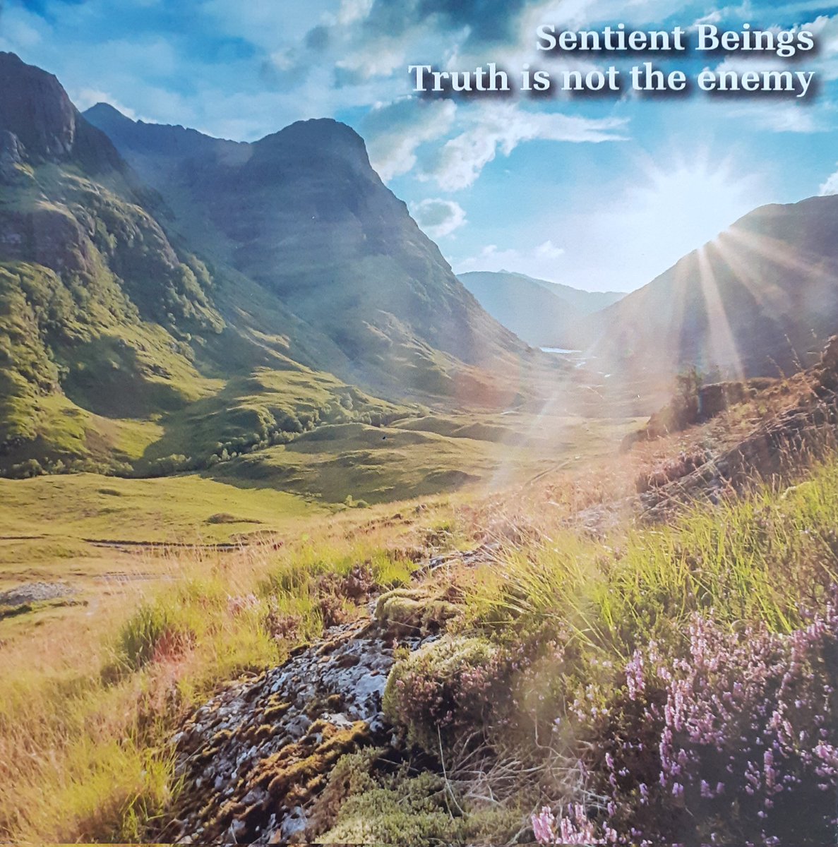 Our new album is out on Discus Music on 30th August. Our thanks to Martin Archer for this. 
John O'Gallagher sax, John Pope bass, Tony Bianco drums, myself violin, viola.
discusmusic.bandcamp.com