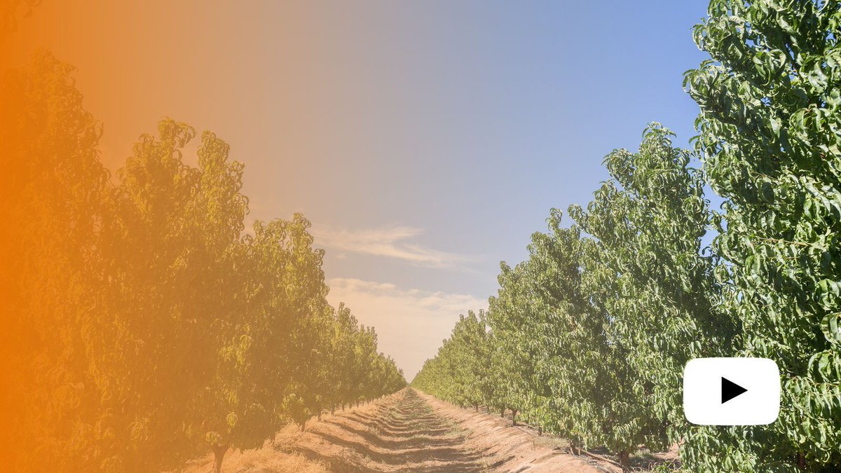 Agriculture Victoria hosted a webinar exploring the opportunities to improve the energy efficiency and reduce pumping costs of pressurised irrigation systems with Agriculture Victoria’s Nick O’Halloran and Jeremy Giddings.

Watch the recording here: buff.ly/3SGkjng