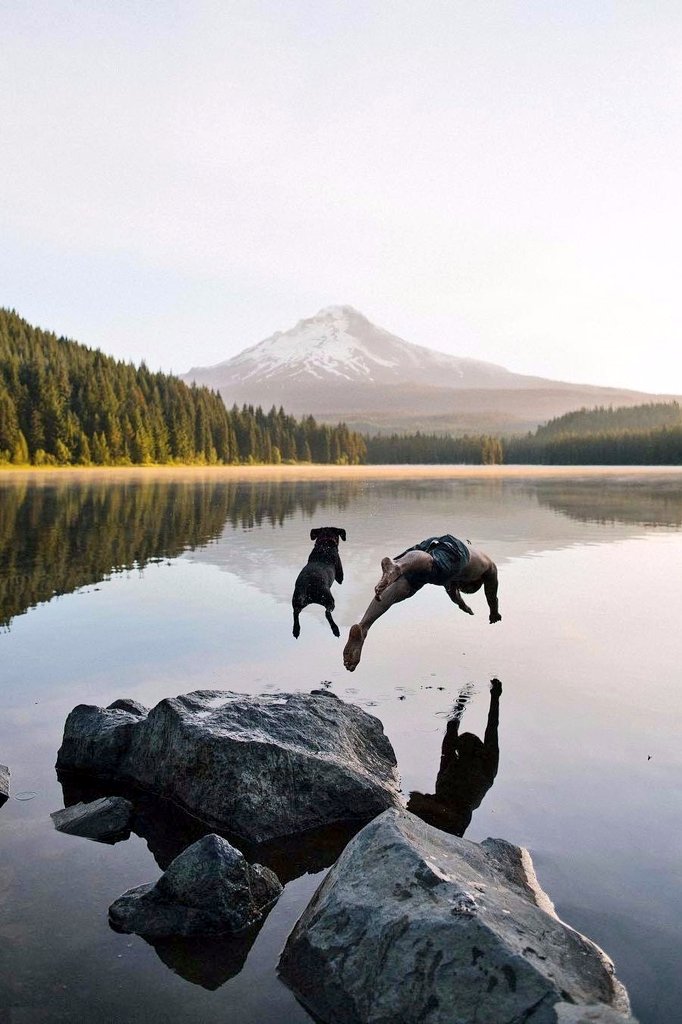kiaramapi's tweet photo. Andiamo uomo e cane uniti
dal mattino verde,
dall’incitante solitudine
vuota nella quale solo noi
esistiamo, un mondo inumidito... la felicità... trasformata in un solo animale che cammina muovendo sei zampe e una coda con rugiada.
Ode al cane, Pablo Neruda
#14agosto #PetLove https://t.co/niYwdoRNxB