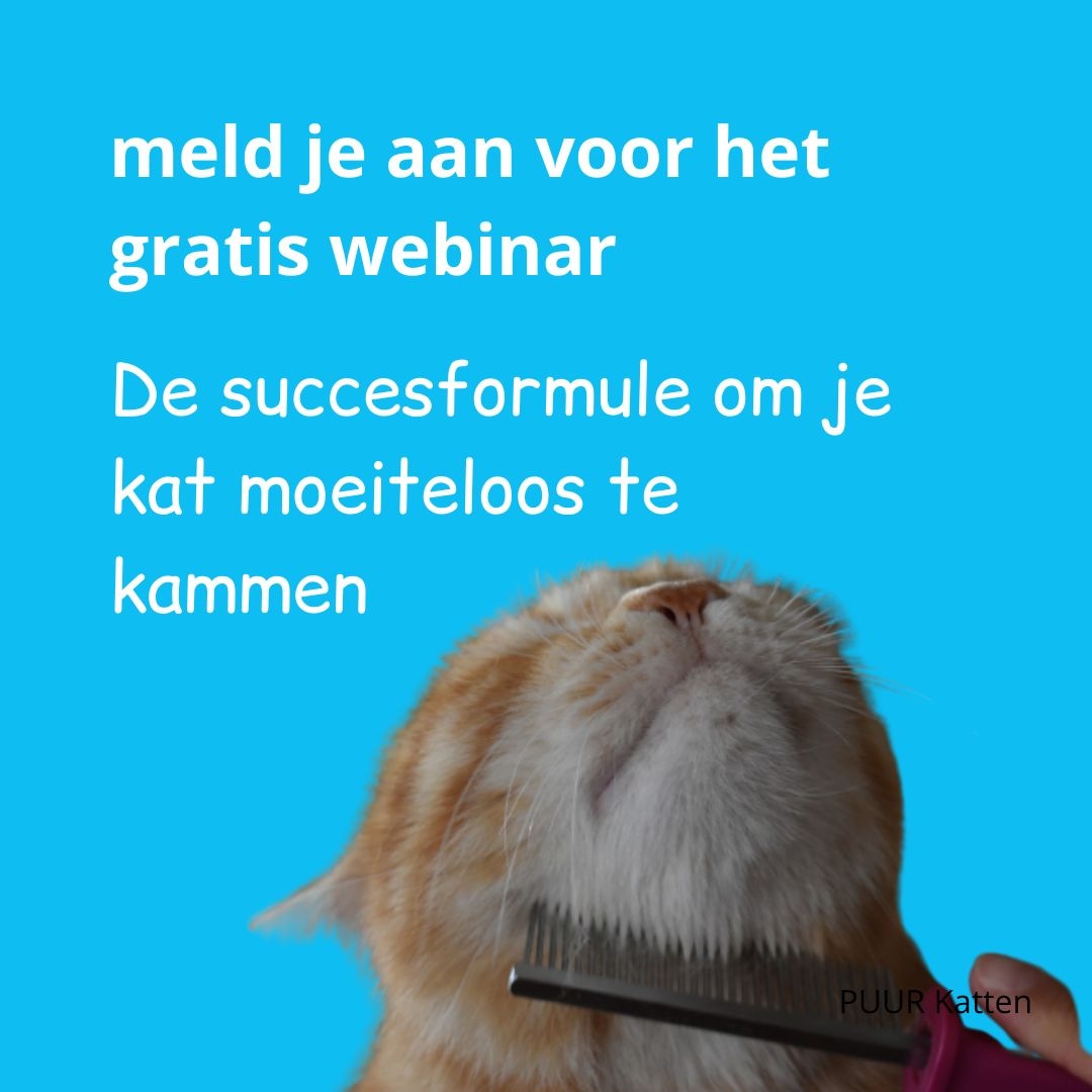 Je kat kammen een hel?
Hij raakt nu compleet in de klit, omdat jij hem niet mag kammen.
Voel je je gefrustreerd en machteloos?
In dit gratis én vernieuwde webinar "De Succesformule om je kat moeiteloos te kammen".​​​​ vertel ik je hoe het wel lukt.​ 
puur-katten.webinargeek.com/de-succesformu…