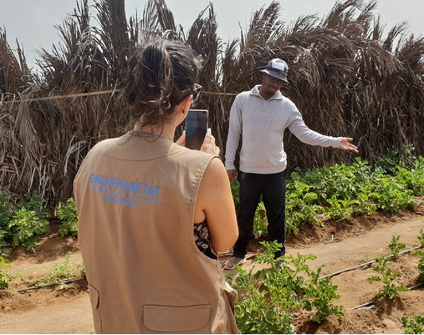 Erfan_A_Ali's tweet photo. The Community Managed Funds under #UNHabitatCaboVerde🇨🇻 with funding from @eucommission #PSUP in are transforming lives! From retail sales to sustainable farming, these funds empower through financial inclusion.🌱✨With 74% women beneficiaries, CMF is a tool for gender equality https://t.co/pvmVCLrnul