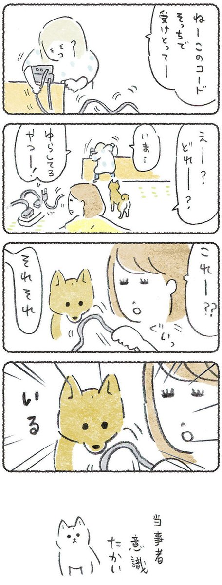 人がなんかしてる時、犬も参加してる 