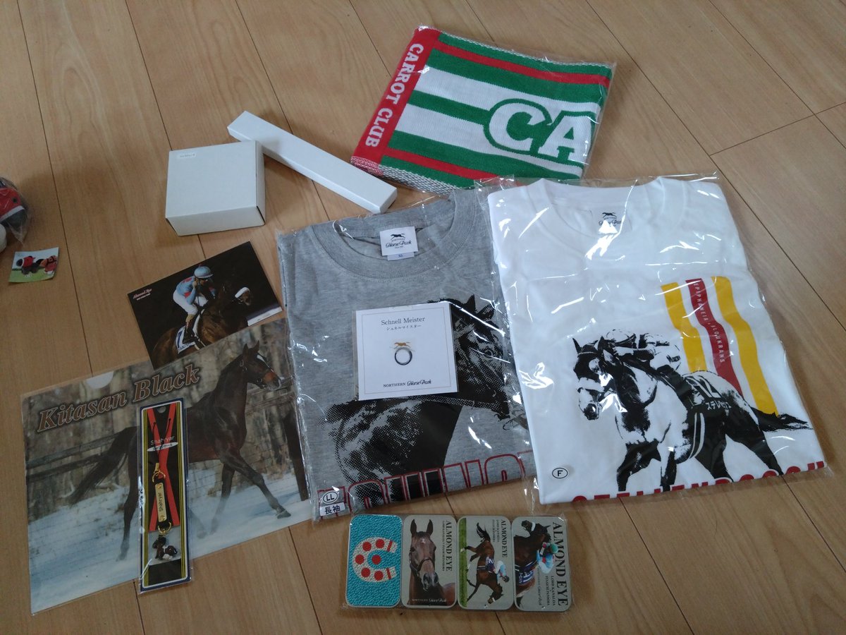 オルフェーヴル たてがみ ノーザンホースパーク 送料キャンペーン中の9