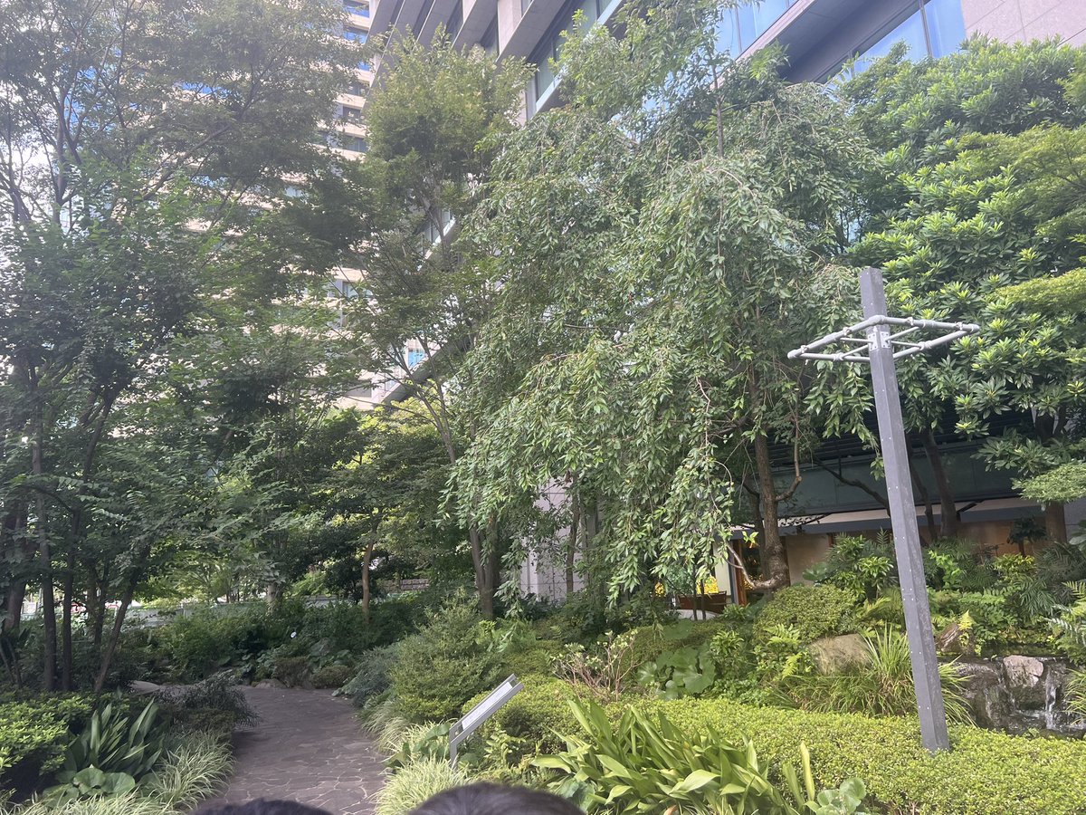 suba_rasiy's tweet photo. 皇居と連動したまちづくり
植える木も皇居にある木の質感に似たものを採用
 #33サマカレ https://t.co/WroN7gP7Ze