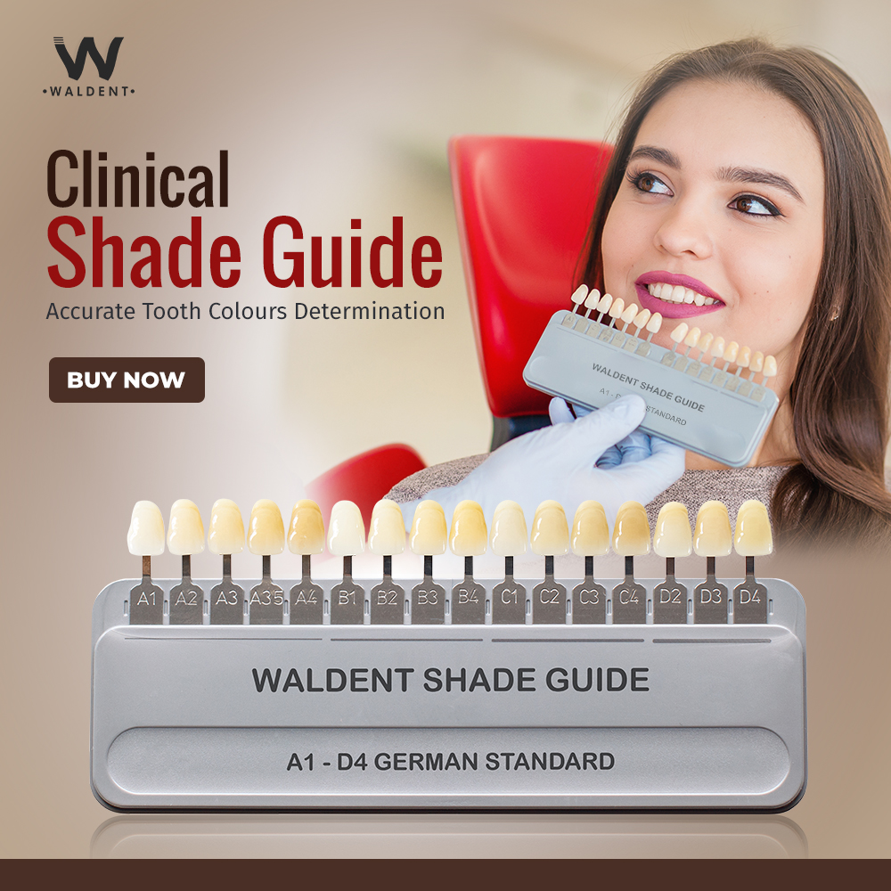 Waldent_'s tweet image. Waldent Clinical Shade Guide (VITA Shades, German Standard)

- 16 shades (A1-D4)
- Durable, high-quality material
- Easy, precise shade selection

📞: 9289811249

🛒: waldent.com/products/walde…

#Waldent #Upgradingdentistry #Shadeguide #Toothshadeperfection