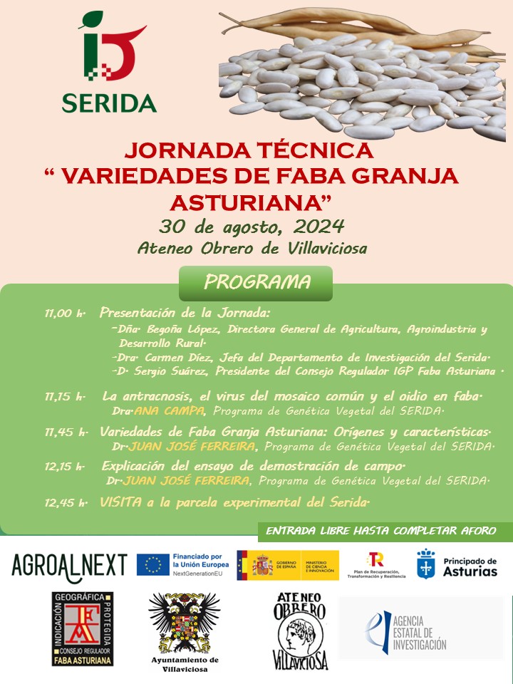 ✍️Toma nota  📣📣 Jornada Técnica organizada por el #SERIDA sobre las "Variedades de Faba Granja Asturiana" 
📆 Viernes, 30 de agosto
🕰 11,00 h.
🏦 Ateneo Obrero de #Villaviciosa
#SERIDA_GV #Agroalnext <a href="/P_Recuperacion/">Plan de Recuperación</a> <a href="/CienciaGob/">Ministerio de Ciencia, Innovación y Universidades</a> <a href="/FabaAsturiana/">Faba Asturiana IGP</a> <a href="/MRuralAsturias/">Consejería Medio Rural y Política Agraria</a> <a href="/SCTAsturias/">Consejería de Ciencia, Industria y Empleo</a>