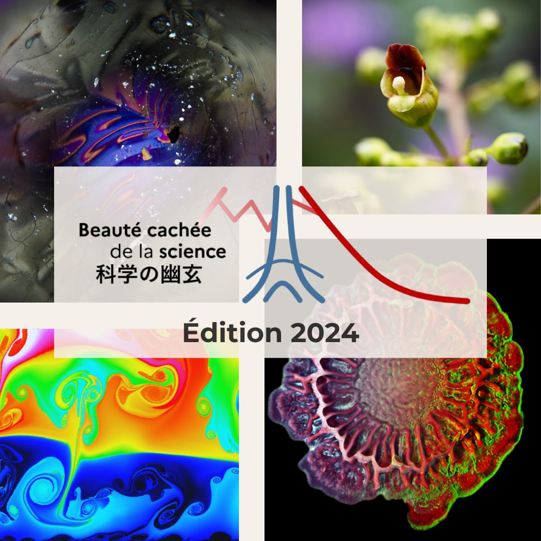 Le #concours Beauté Cachée de la Science 2024 est désormais ouvert 🙌🔬✨

Vous êtes un(e) scientifique basé(e) au Japon ? 

Montrez-nous la beauté de vos travaux et tentez de gagner un billet d’avion A/R entre Paris et Tokyo ! 

👉 concoursyugen.jp.ambafrance.org