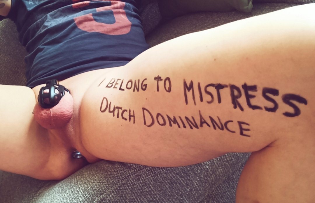 thong3311's tweet photo. @DutchDominance Gefeliciteerd met uw verjaardag! 🥳. Maak er een mooi jaar van! https://t.co/Rhl9AVz6X1