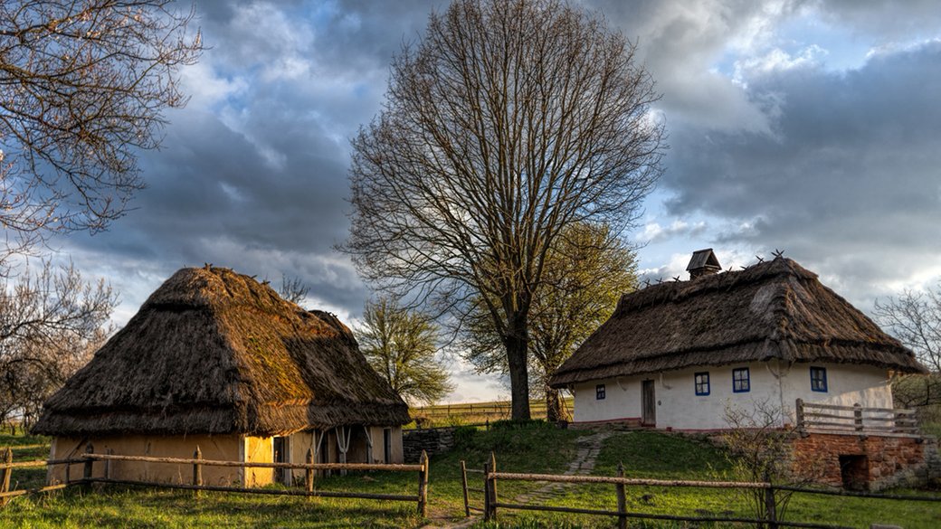 Читомо tweet media