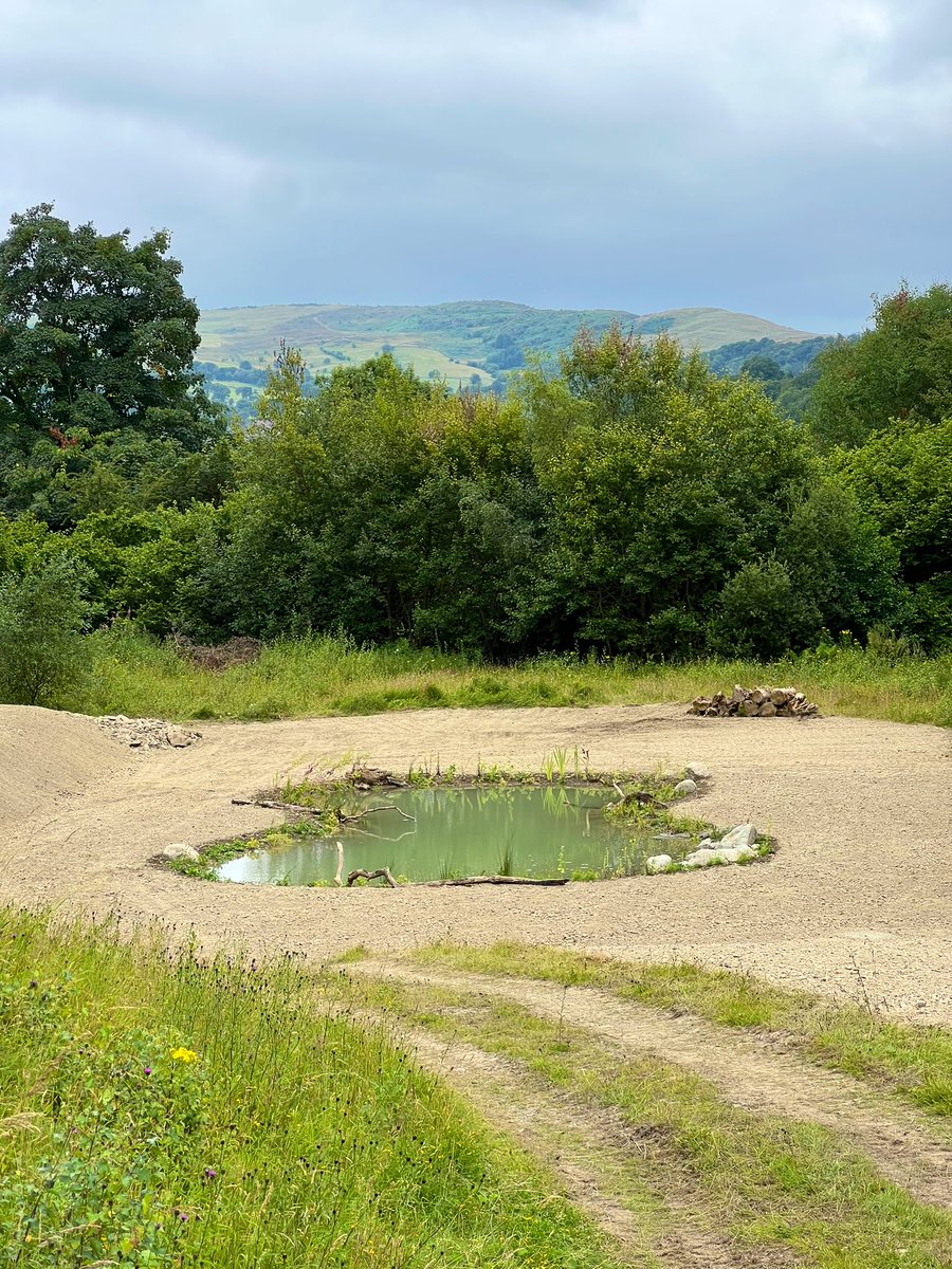 Joel Ashton ๐๐ณ๐ (@_joelashton) on Twitter photo Recently I finished my latest creation - 1/4 acre of #wildflowermeadow, #wildlifepond and other various habitats in north #Wales. Over 60 species of native wildflowers & grasses will soon inhabit this site & provide vital refuge for wildlife. Who will use the perches first?! ๐ด๓ ง๓ ข๓ ท๓ ฌ๓ ณ๓ ฟ Recently I finished my latest creation - 1/4 acre of #wildflowermeadow, #wildlifepond and other various habitats in north #Wales. Over 60 species of native wildflowers & grasses will soon inhabit this site & provide vital refuge for wildlife. Who will use the perches first?! ๐ด๓ ง๓ ข๓ ท๓ ฌ๓ ณ๓ ฟ