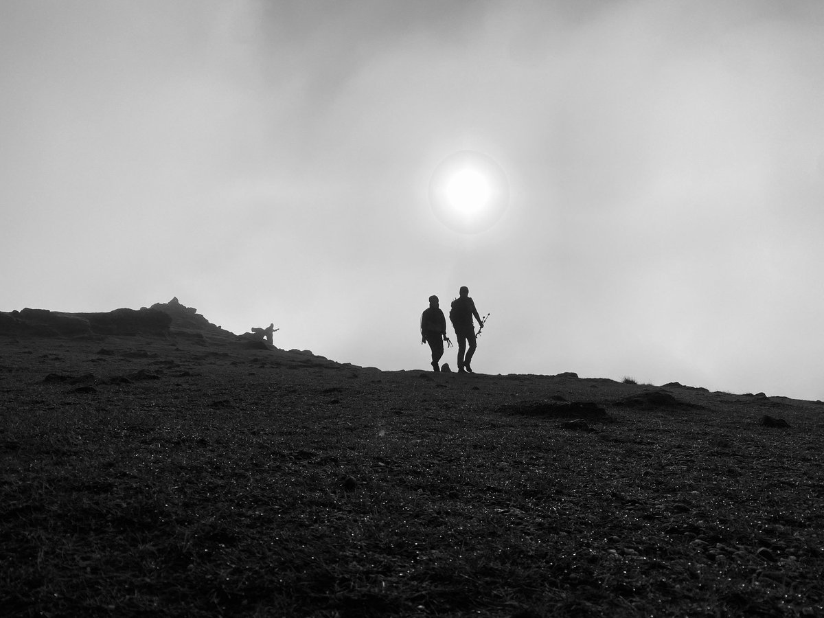 Fei Sheehy Hillwalking Challenge tweet media