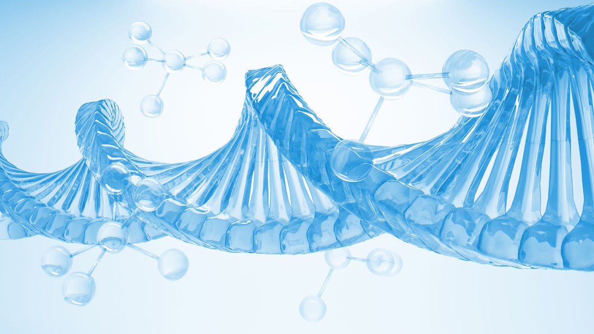 🚨 La #hipercolesterolemia familiar no detectada puede llevar a consecuencias graves como infartos o muerte súbita diariomedico.com/medicina/medic… vía <a href="/diariomedico/">Diario Médico</a>