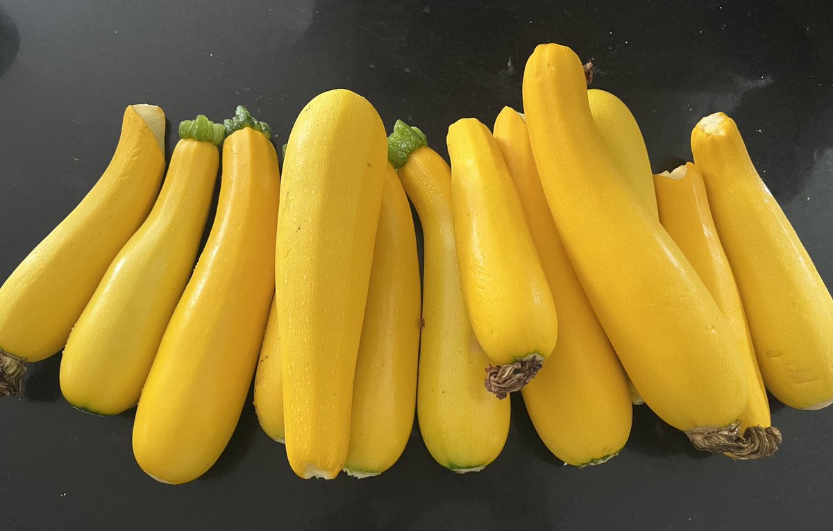 anna baverstock tweet media