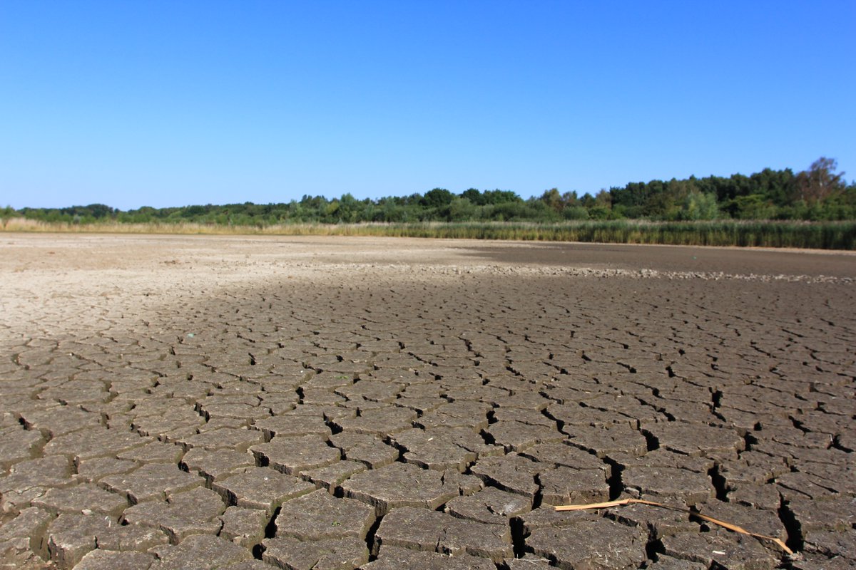 WildlifeTrusts's tweet photo. ⚠️ New report reveals drought is now considered the biggest risk to UK nature reserves ⚠️.

The report focuses on why adaptation work is vital to re-connect and regenerate habitats to help nature cope with weather extremes.

Read more 👇🏼 
https://t.co/Nb6sscqDNW https://t.co/sE2sDb4MSu