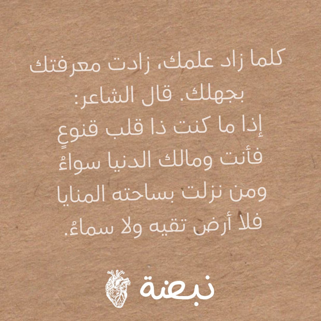 نبضة tweet media
