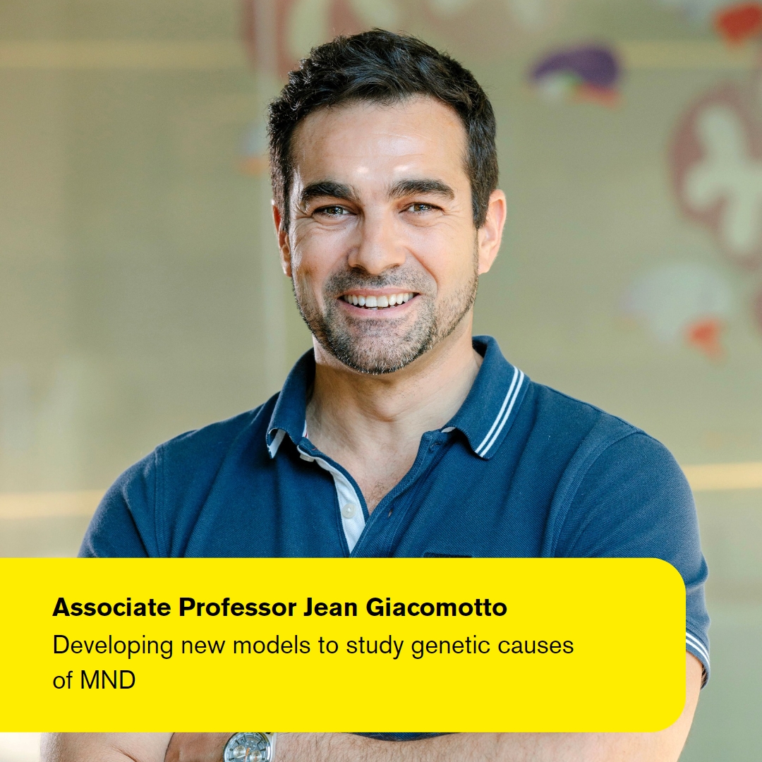 FightMND's tweet image. In celebration of @Aus_ScienceWeek, we want to acknowledge @DrCathBlizzard, @ZebraCLINICS, Dr Rayner, Dr Li and all the brilliant #MND researchers who fight every day towards our collective vision of a world free from MND. Thank you!
Learn more: fightmnd.org.au/cure/