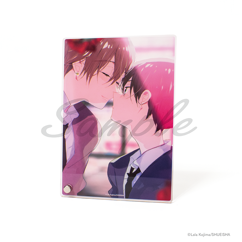 🩷グッズ紹介🩵／ 【アクリルプレート】 仔縞先生の繊細なイラストが