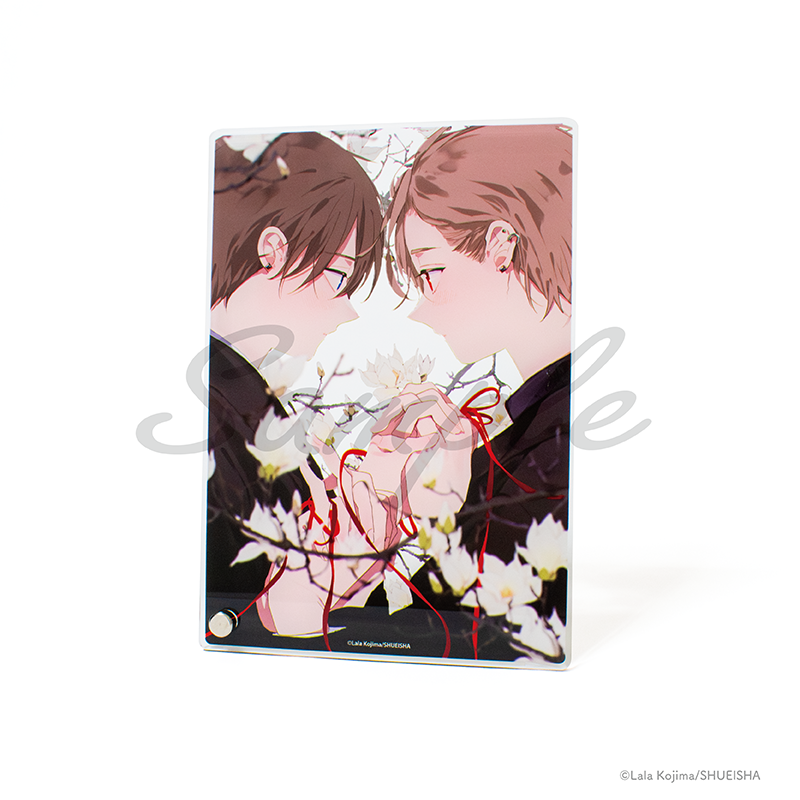 🩷グッズ紹介🩵／ 【アクリルプレート】 仔縞先生の繊細なイラストが