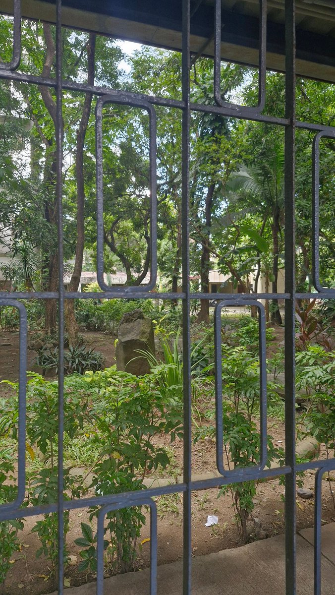 solreqs's tweet image. psych block bonding today &amp;lt;3