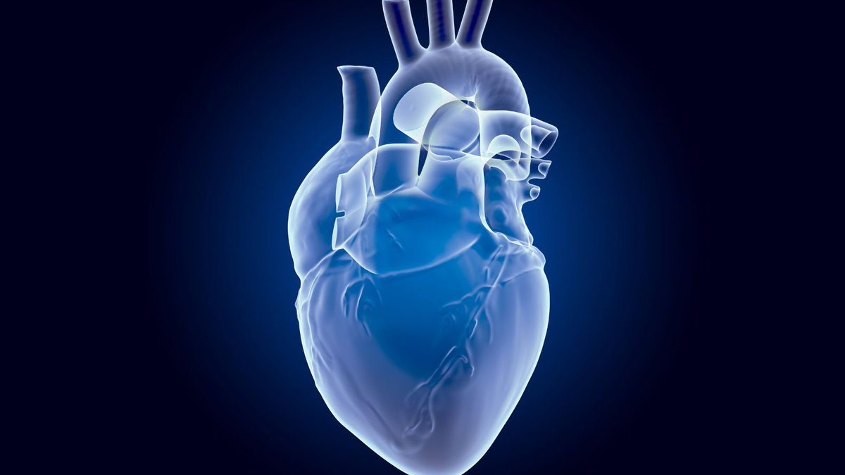 🫀 ¡Revolución en la investigación cardíaca! 

Diseñan un mapa de las células del corazón que promete combatir y posiblemente revertir la fibrosis cardíaca, dando esperanzas en la lucha contra la insuficiencia cardíaca consalud.es/saludigital/in… vía <a href="/SaluDigital_CS/">SaluDigital</a>