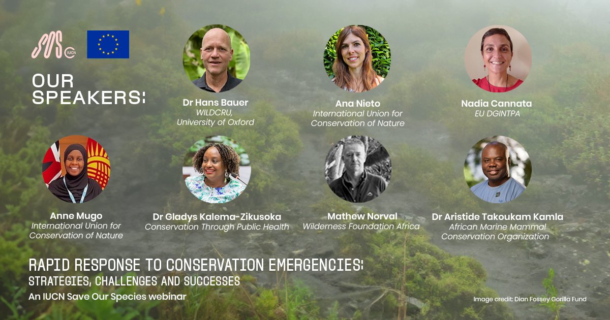 Join us for our upcoming webinar next Wednesday, 21 August 2024 at 14:00 CEST on how rapid action grants are protecting Africa’s threatened wildlife.

Hear from project grantees about the challenges and successes in tackling conservation emergencies across the continent. Don’t