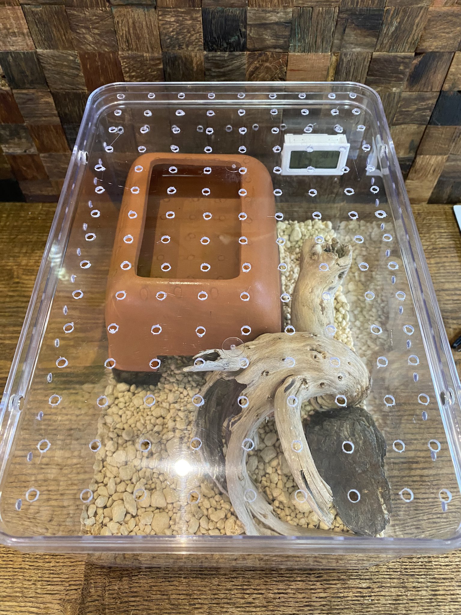 Tera 884 в X: „新築のお家🏠 ダイソーでシューズケースを購入し