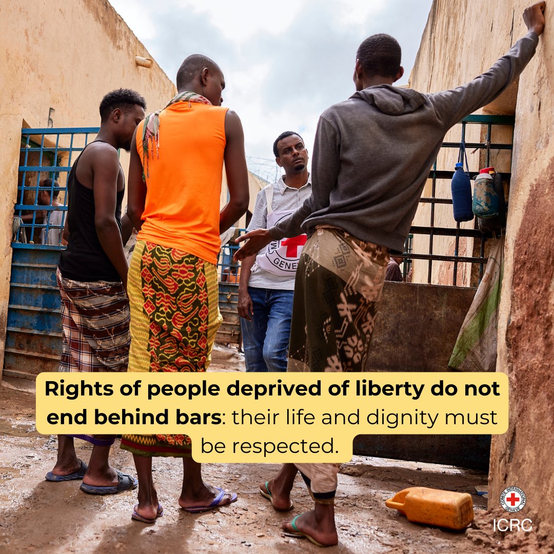 Rights of people deprived of liberty do not end behind bars: their life and dignity must be respected.

This includes access to essential services, prevention of ill-treatment, and compliance with judicial guarantees, among others.