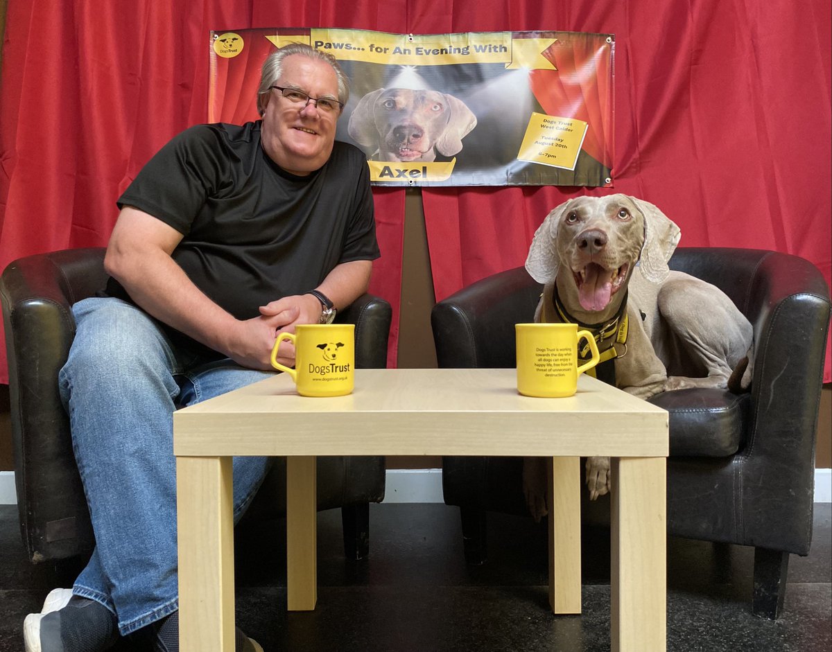 DT_WestCalder's tweet photo. Have you heard about our ‘Paws for an Evening with...Axel’ on 20th August, 6-7pm💛Axel sure has with those ears!🐘 

Apply to adopt him now👉https://t.co/KYFGPbhuzl

#AnEveningWith 
@dogstrust https://t.co/eG8lptB0Fd